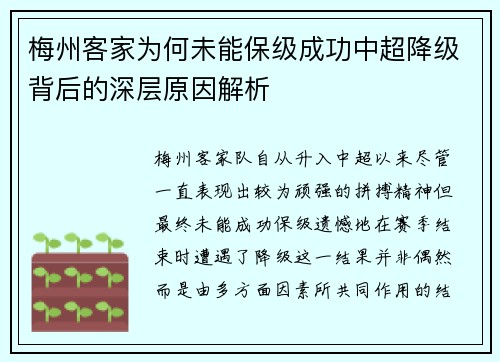 梅州客家为何未能保级成功中超降级背后的深层原因解析