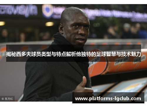 揭秘西多夫球员类型与特点解析他独特的足球智慧与技术魅力