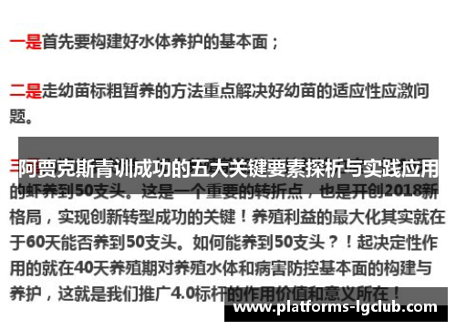 阿贾克斯青训成功的五大关键要素探析与实践应用 阿贾克斯青训成功的五大关键要素探析与实践应用