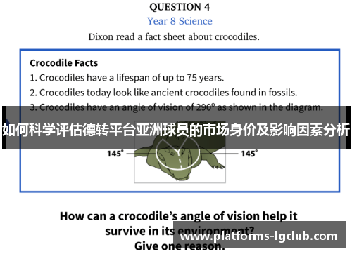 如何科学评估德转平台亚洲球员的市场身价及影响因素分析