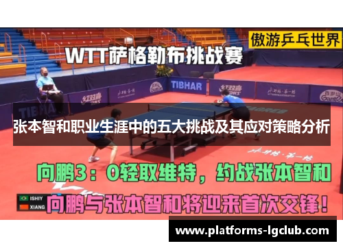 张本智和职业生涯中的五大挑战及其应对策略分析 张本智和职业生涯中的五大挑战及其应对策略分析