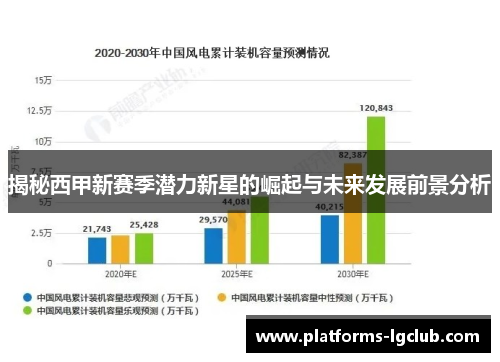 揭秘西甲新赛季潜力新星的崛起与未来发展前景分析